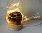 Iridescent Art Glass Bird Lamp: Handmade LED Home Decor